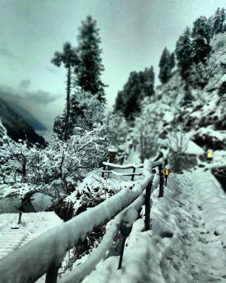 Parvatis Lap Luxury Hostel & Camps Kasol Kültér fotó