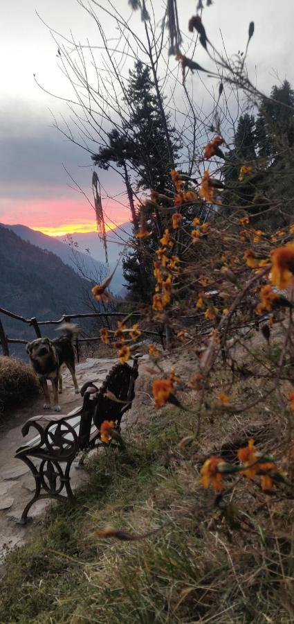 Parvatis Lap Luxury Hostel & Camps Kasol Kültér fotó