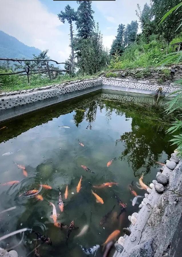 Parvatis Lap Luxury Hostel & Camps Kasol Kültér fotó